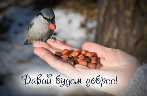 День спонтанного проявления доброты - 17 февраля