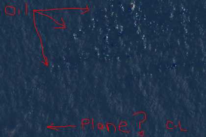 Вдова Курта Кобейна отыскала в интернете пропавший «Боинг»