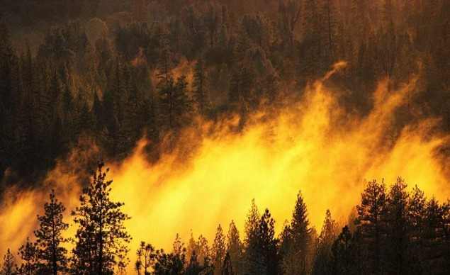 В Хакасии возобновились лесные пожары