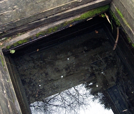 Житель Хакасии погиб, поливая свой огород