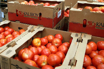 Россельхознадзор отказался пускать египетские томаты