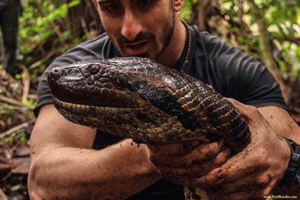 Анаконда испортила эксперимент по поеданию человека в прямом эфире