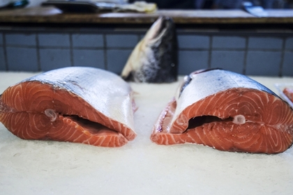 В России начнут выращивать отечественную семгу