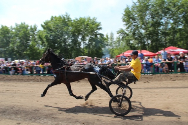 В Ачинске открылся собственный ипподром