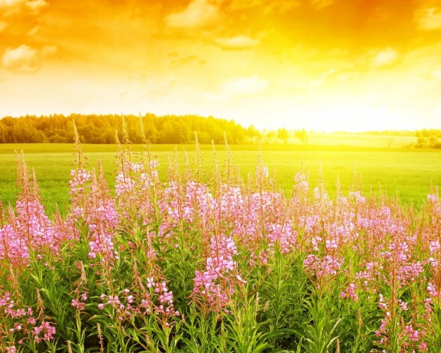 Наступившая неделя в Ачинске будет теплой и дождливой