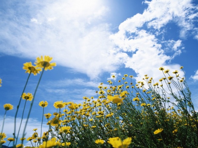 На выходных в Ачинске потеплеет