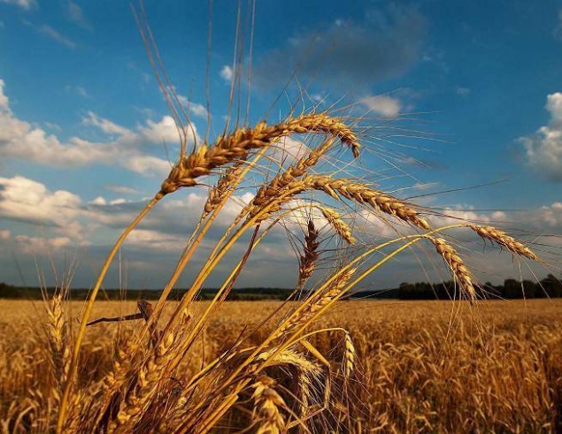 В Ачинске в воскресенье похолодает