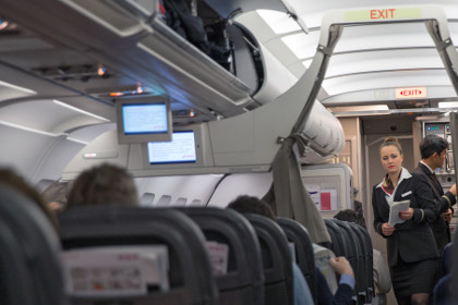 Депутаты предложили освободить от ответственности усмирителей авиадебоширов