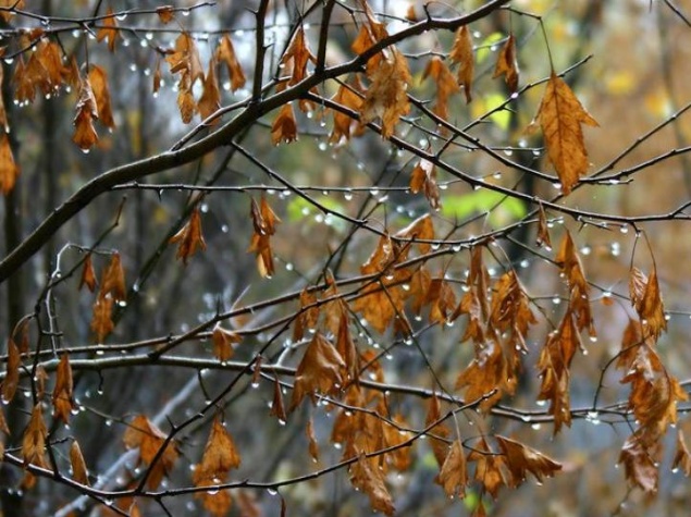 В Ачинск пришла прохлада