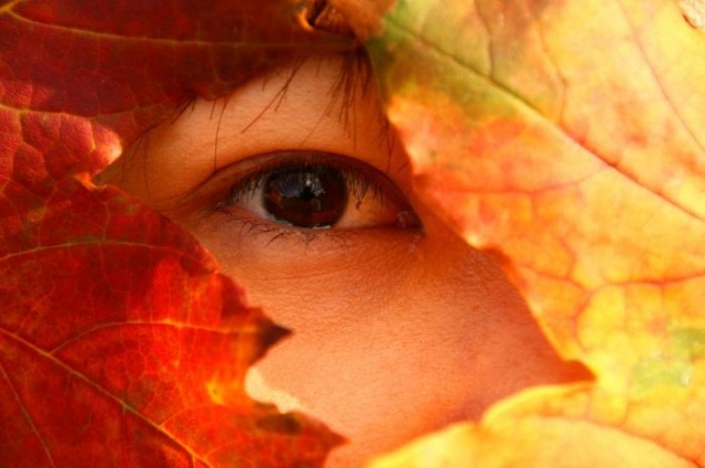 Предстоящие выходные будут прохладными