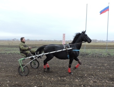 В Ачинске состоялись конноспортивные соревнования