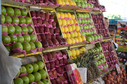 Россельхознадзор отказался сжигать турецкие продукты