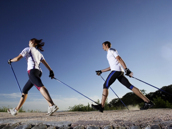 На красноярских «Столбах» открыли павильон для поклонников скандинавской ходьбы