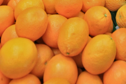 Начались организованные поставки в Россию овощей и фруктов из Сирии