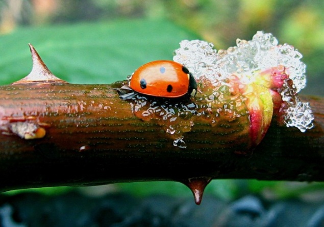 На выходных нас ждет ветер и дождь