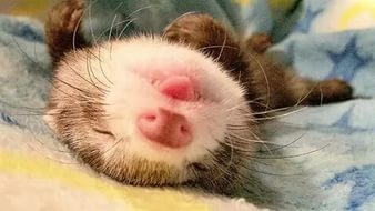 Как отдыхать будем: опубликован график праздничных дней на 2017 год