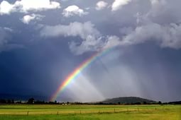 Июль будет теплый и с дождями