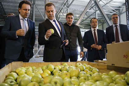 Медведев пообещал защитить село