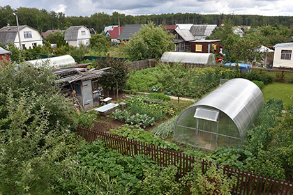 Медведев направил в Госдуму законопроект о садоводстве и дачных хозяйствах