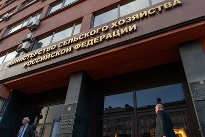 В Минсельхозе рассказали о последствиях запрета импортной соли