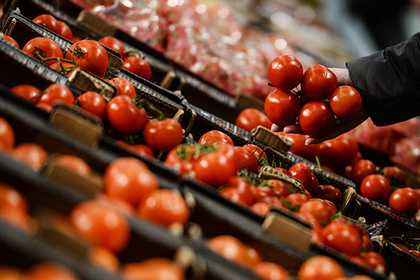 Россельхознадзор разрешил Египту возобновить поставки фруктов и овощей