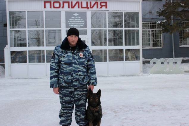 Служебная собака помогла полицейским раскрыть серию краж