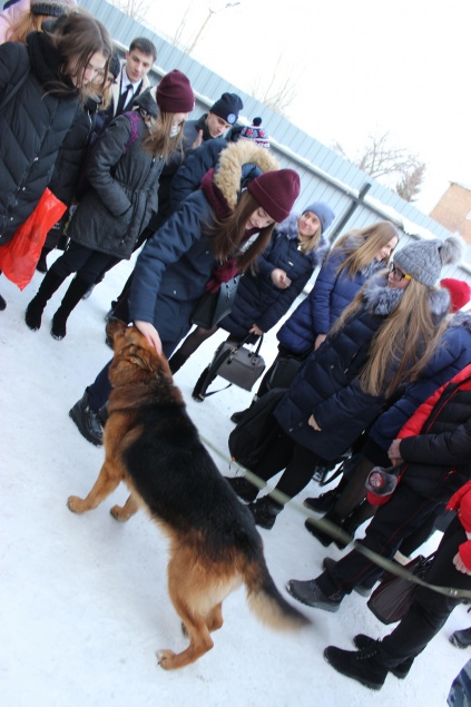 Школьники Ачинска познакомились с работой инспекторов – кинологов