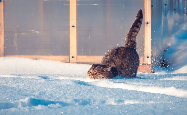 На выходных в Ачинск придет потепление