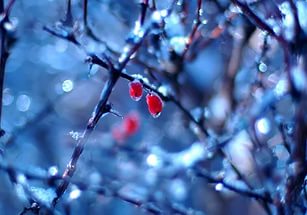 Солнечная неделя с плюсовыми температурами пришла в Ачинск