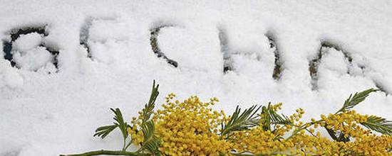 Нас ждет выходной посреди рабочей недели