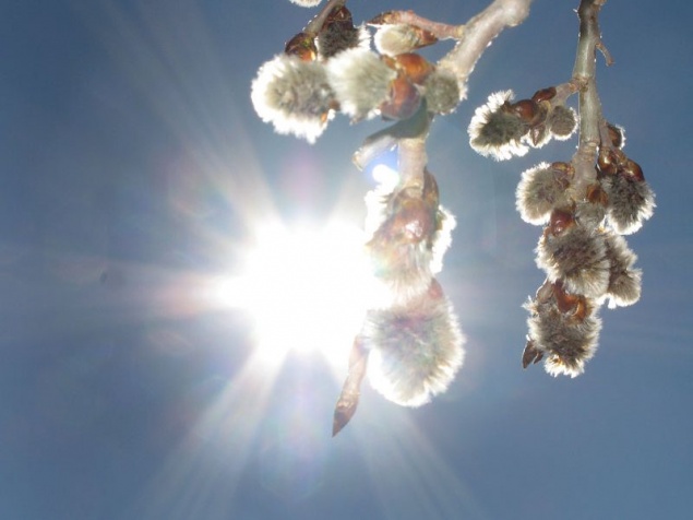 Апрель в Ачинске начнется с похолодания