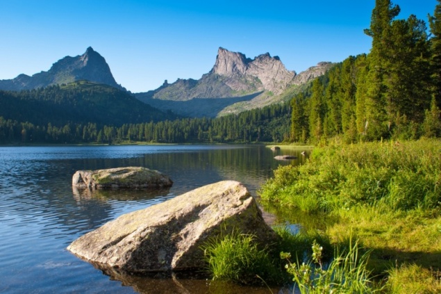 В Ергаках отстреляют медведей