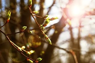 На этой неделе в Ачинск придут дожди и прохлада