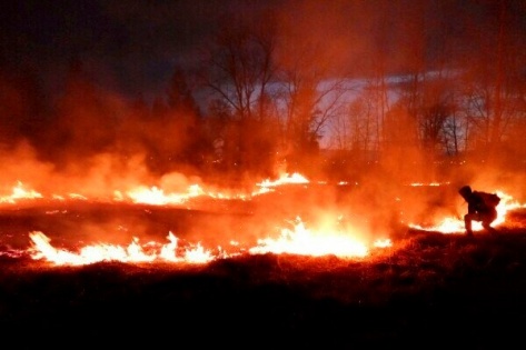 За костер в лесу предложили штрафовать на миллион