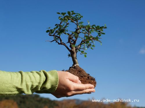 Сделай свой вклад в улучшение внешнего облика нашего города!