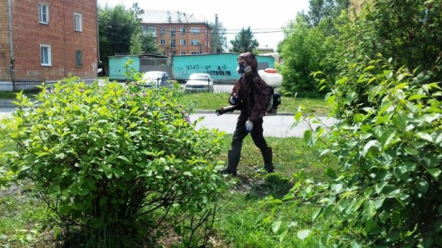 В Ачинске идет аккарицидная обработка