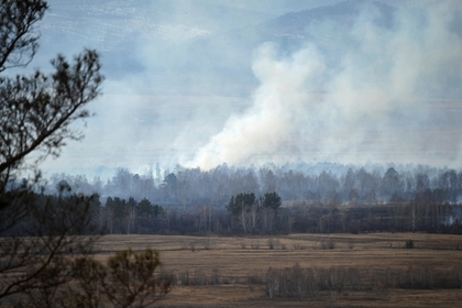 Прокуратура признала право на жилье пожаловавшейся Путину матери-одиночки