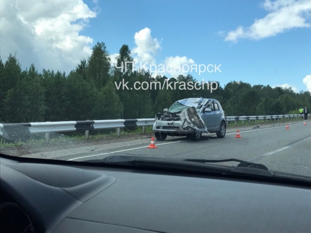 «Тойота» под Ачинском сбила перебегающего дорогу лося