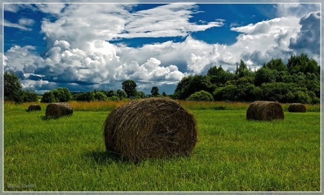 Августовская жара сменится похолоданием