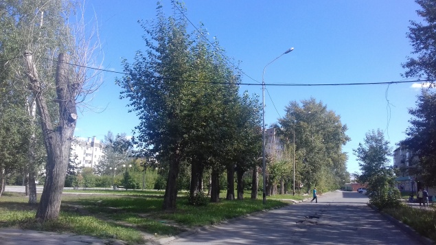 В Ачинске разыскивают владельца воздушной кабельной линии