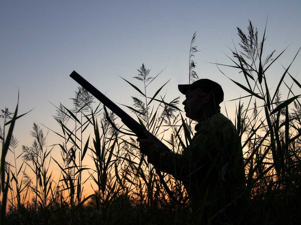Сезон охоты на пернатых открыт в Красноярском крае