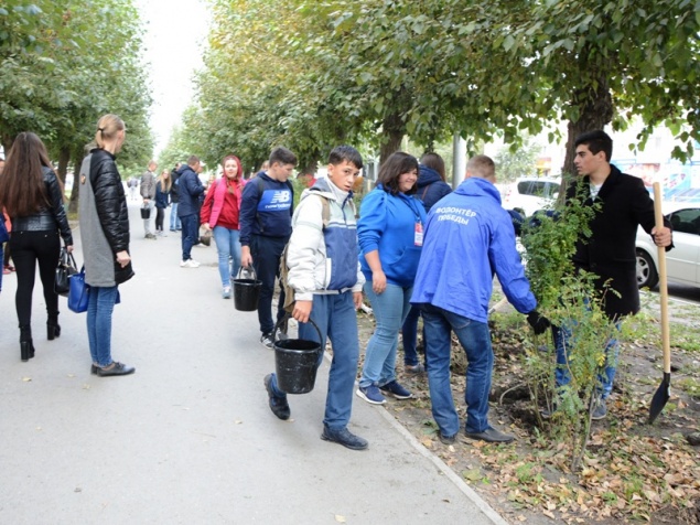 В Ачинске началась масштабная высадка молодых деревьев