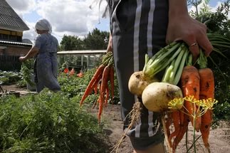 Сотрудники полиции проводят второй этап оперативно-профилактического мероприятия «Урожай»