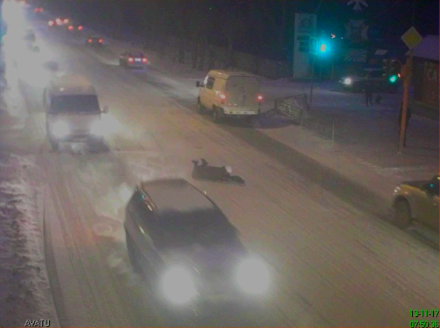 В Ачинске задержан водитель, совершивший наезд на пенсионерку