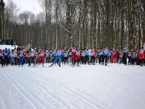 Ачинские школьники завоевали призовые места на краевой школе «К вершинам туристского мастерства» по программе «Лыжный туризм»