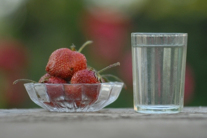 Подсчитано количество паленой водки в магазинах