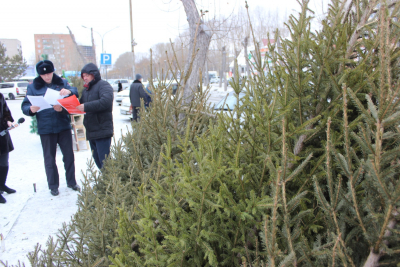 В Ачинске стражи порядка провели рейд по елочным базарам