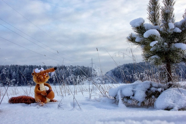 Предстоящие выходные в Ачинске будут теплыми