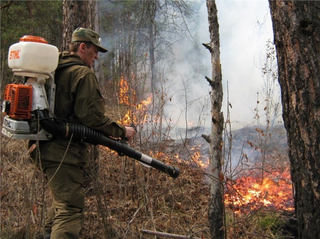Заповедник «Столбы» могут закрыть для туристов