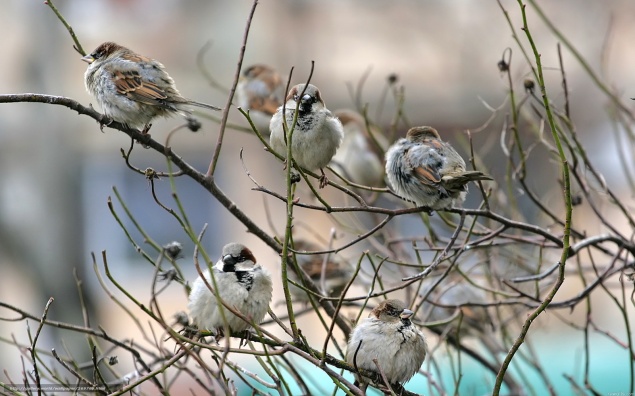 Майские выходные обещают быть теплыми и пасмурными
